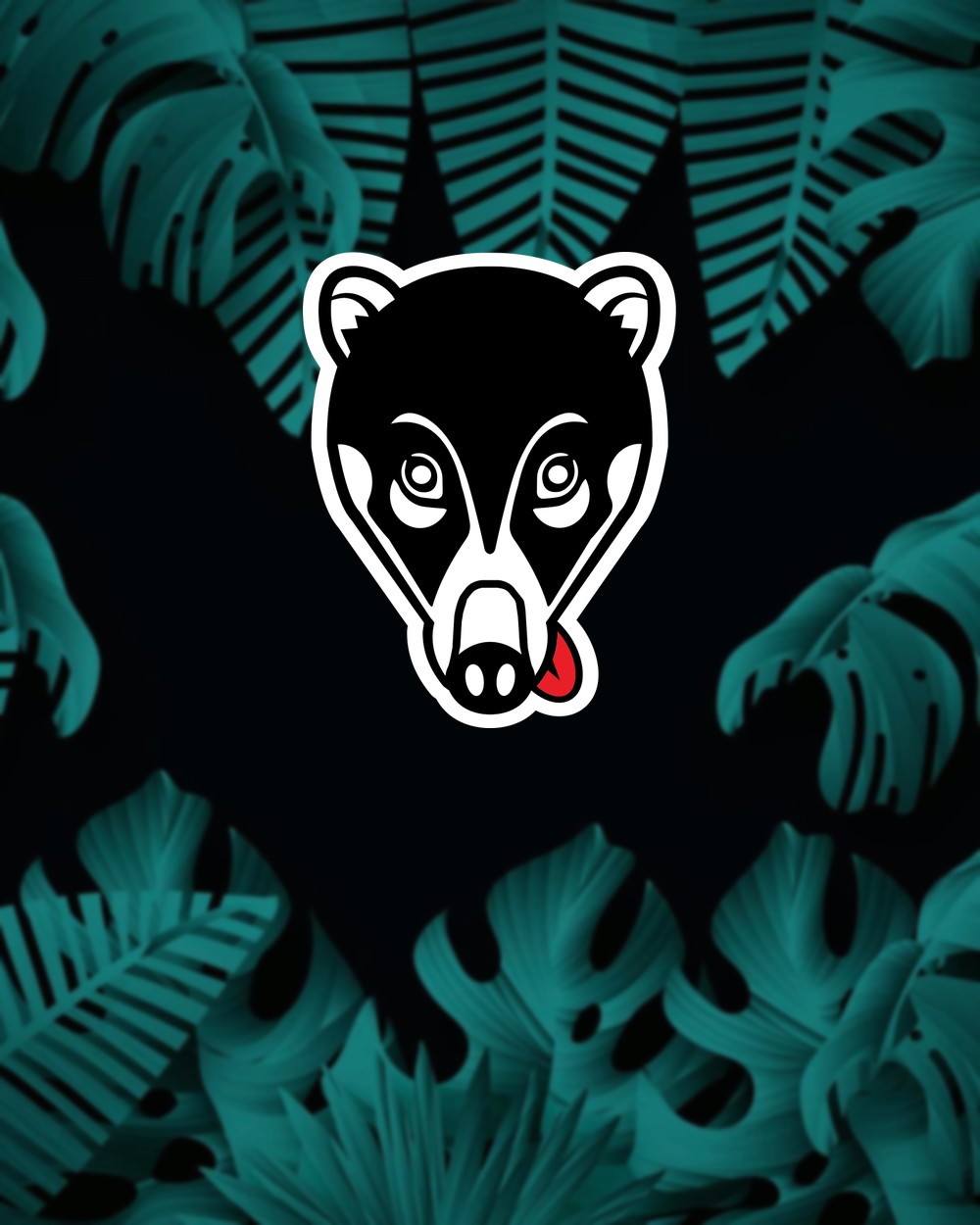 Nasúa