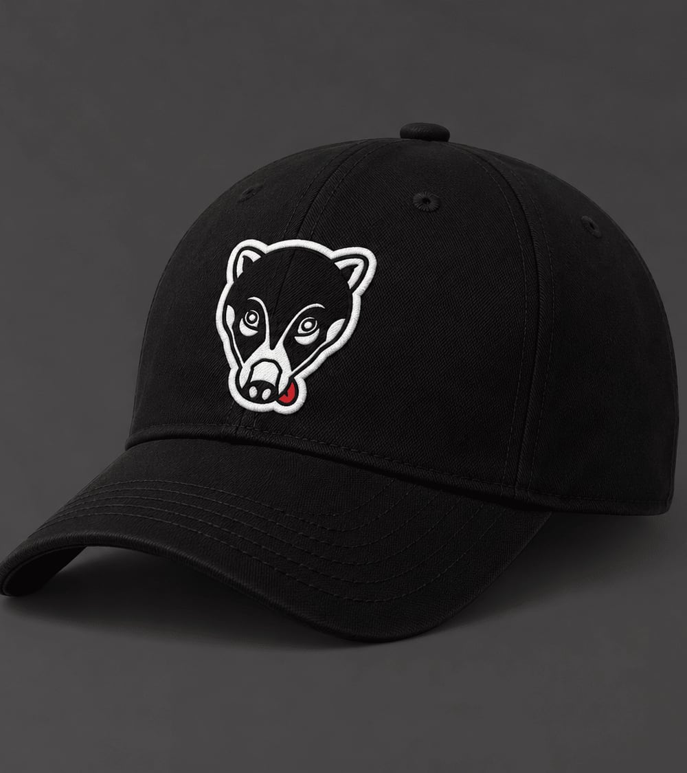 Gorra Nasúa