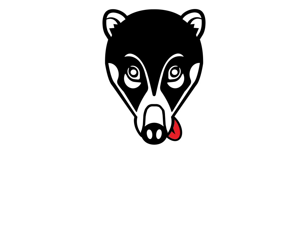 Nasúa
