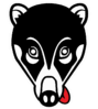 logo N1